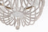 Elegant Lighting Jolie 4 Light Pendant D20 Inch H47 Inch White in Antique white Finish Model: LD306D20WH