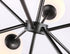 Elegant Lighting Jupiter 9 light in Black and Frosted White glass pendant Model: LD5028D27BK