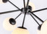 Elegant Lighting Jupiter 9 light in Black and Frosted White glass pendant Model: LD5028D27BK