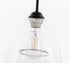 Elegant Lighting Kason 3 light in Black and Clear glass pendant Model: LD5032D36BK