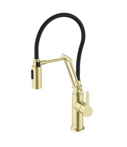 Elegant Lighting Leonardo Single Handle Pull Down Sprayer Kitchen Faucet in Brushed Gold Model: FAK-304BGD