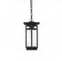 Elegant Lighting Livingston 7 inch Outdoor Pendant in Black Model: OD321H14BK