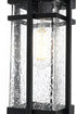Elegant Lighting Livingston 7 inch Outdoor Pendant in Black Model: OD321H14BK