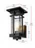 Elegant Lighting Livingston 7 inch Outdoor Pendant in Black Model: OD321W13BK
