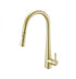 Elegant Lighting Lucas Single Handle Pull Down Sprayer Kitchen Faucet in Brushed Gold Model: FAK-301BGD
