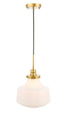 Elegant Lighting Lyle 1 light in Black and Clear seeded glass pendant Model: LD6252BK