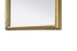 Elegant Lighting Naomi Vintage Resin Mirror 24x36 Inch in Antique Brass Model: MR7F2436AB