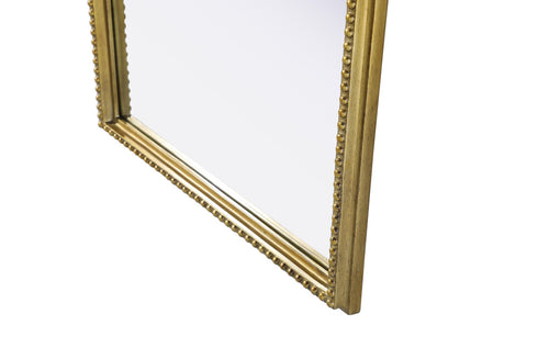 Elegant Lighting Naomi Vintage Resin Mirror 24x60 Inch in Antique Brass Model: MR7F2460AB