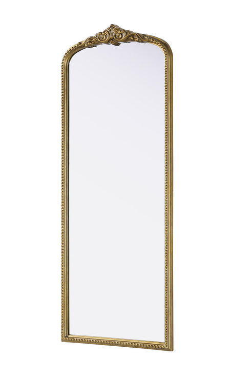 Elegant Lighting Naomi Vintage Resin Mirror 24x60 Inch in Antique Brass Model: MR7F2460AB