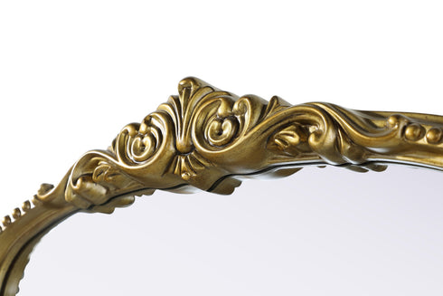 Elegant Lighting Naomi Vintage Resin Mirror 24x60 Inch in Antique Brass Model: MR7F2460AB