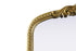 Elegant Lighting Naomi Vintage Resin Mirror 30x36 Inch in Antique Brass Model: MR7F3036AB