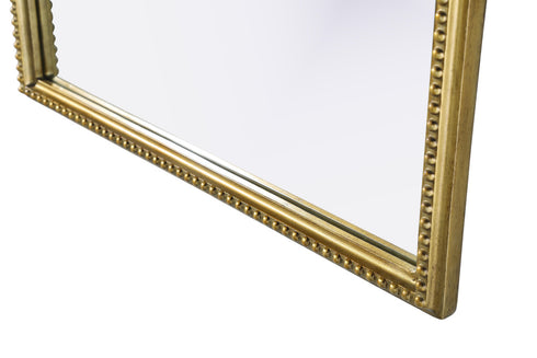 Elegant Lighting Naomi Vintage Resin Mirror 30x42 Inch in Antique Brass Model: MR7F3042AB