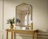 Elegant Lighting Naomi Vintage Resin Mirror 33x42 Inch in Antique Brass Model: MR7F3342AB