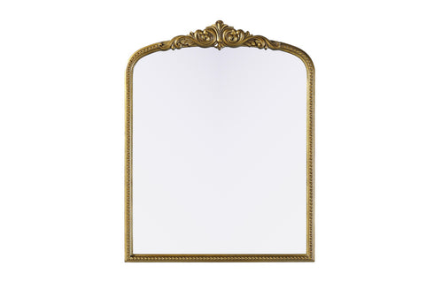 Elegant Lighting Naomi Vintage Resin Mirror 33x42 Inch in Antique Brass Model: MR7F3342AB