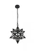 Elegant Lighting Nocturne 1 light black Pendant Model: LD4076D16BK