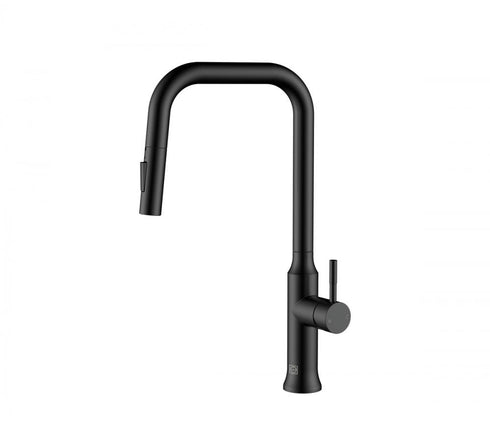 Elegant Lighting Noor Single Handle Pull Down Sprayer Kitchen Faucet in Brushed Gold Model: FAK-311BGD