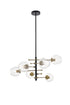Elegant Lighting Paragon 6 light Matte Black and Brass Pendant in Matte Black and Brass and Clear Finish Model: LD5053D32BRB