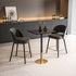 Elegant Lighting Ronan Pub Table Rectangle 24 Inch x 28 Inch x H39.5 Inch Black in Black and Gold Finish Model: AF11R2428BK