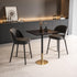 Elegant Lighting Ronan Pub Table Rectangle 27.6 Inch x 31.5 Inch x H39.5 Inch Black in Black and Gold Finish Model: AF11R2832BK