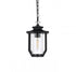 Elegant Lighting Sepviva 7 inch Outdoor Pendant in Black Model: OD323H13BK
