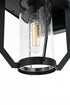 Elegant Lighting Sepviva 7 inch Outdoor Pendant in Black Model: OD323W13BK