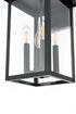 Elegant Lighting Sheridan 7 inch Outdoor Pendant in Black Model: OD324W17BK