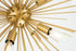 Elegant Lighting Timber 8 light in Brass pendant Model: LD5036D20BR