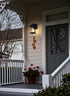 Elegant Lighting Tioga 7 inch Outdoor Pendant in Black Model: OD317W12BK