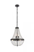 Elegant Lighting Valeria 5 Light Pendant Model: 1113D14C