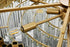Elegant Lighting Willow 10 Light Pendant D32 Inch H14 Inch L11 Satin Gold in Satin Gold and Clear Finish Model: 3400D32SG