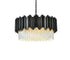 Elegant Lighting Willow 8 Light Pendant D24 Inch H14 Inch L8 Black in Black and Clear Finish Model: 3400D24BK