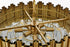 Elegant Lighting Willow 8 Light Pendant D24 Inch H14 Inch L8 Satin Gold in Satin Gold and Clear Finish Model: 3400D24SG