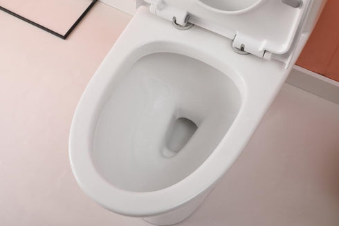 Elegant Lighting Winslet One piece Elongated Toilet 28x15x30 Inch in White Model: TOL2001