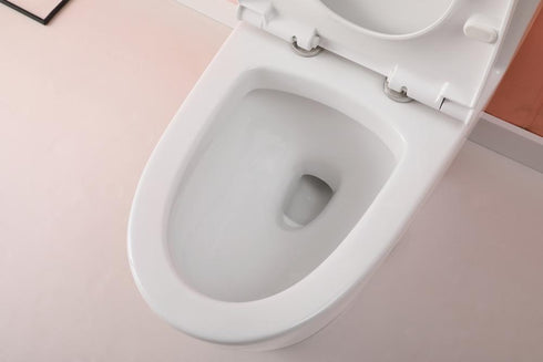 Elegant Lighting Winslet One piece Elongated Toilet 28x16x29 Inch in White Model: TOL2002