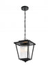 Elegant Lighting York 7 inch Outdoor Pendant in Black Model: OD305H15BK