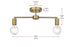 Elegant Lighting Zane 21.5 inch Flush Mount in Satin Gold Model: LD2348SG