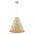 Elk Abaca 17'' Wide 1 Light Pendant Textured Model: 32456/1