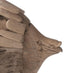 Elk Angel Fish ORNAMENTAL ACCESSORY in Natural Finish Model: 356007