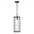Elk Augusta 19 Inch High 1 Light Outdoor Hanging Light Matte Black Model: 90013/1