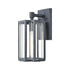 Elk Bianca EXTERIOR WALL SCONCE in Aged Zinc Finish Model: 45164/1