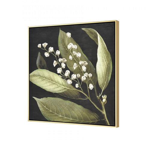 Elk Botanical Study I Framed Wall Art in Green Finish Model: S0016-10168