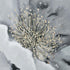 Elk Bowie Bloom WALL ART in Neutral Finish Model: S0026-9297
