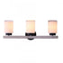 Elk Briggs 24 Inch Wide 3 Light Vanity Light in Black Model: 85441/3