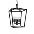 Elk Cage 12 Inch Wide 4 Light Pendant in Matte Black Model: 1080-MB-NG