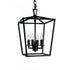 Elk Cage 12 Inch Wide 4 Light Pendant in Matte Black Model: 1080-MB-NG