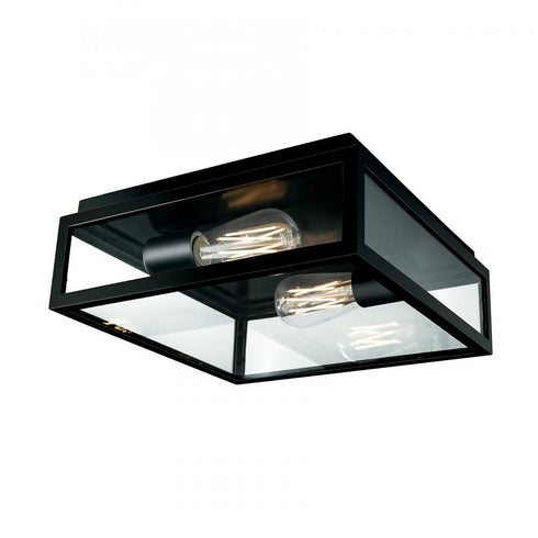 Elk Capture 12 Inch Wide 2 Light Outdoor Flush Mount in Matte Black Model: 1184-MB-CL