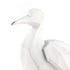 Elk Carroll Bird Sculpture Set of 3 (4 pack) (4 pack) in White Finish Model: S0037-9170/S3