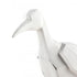 Elk Carroll Bird Sculpture Set of 3 (4 pack) (4 pack) in White Finish Model: S0037-9170/S3