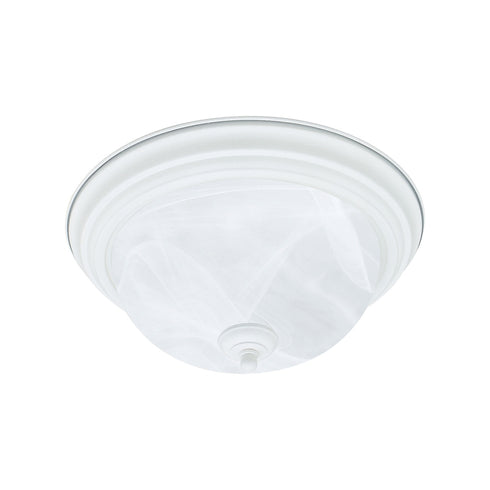 Elk Ceiling Essentials FLUSH MOUNT Model: SL869218
