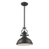 Elk Chadwick 1 Light PENDANT in Matte Black Finish Model: 66636-1